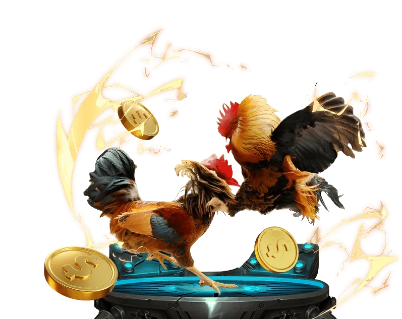 Trách Nhiệm Người Chơi